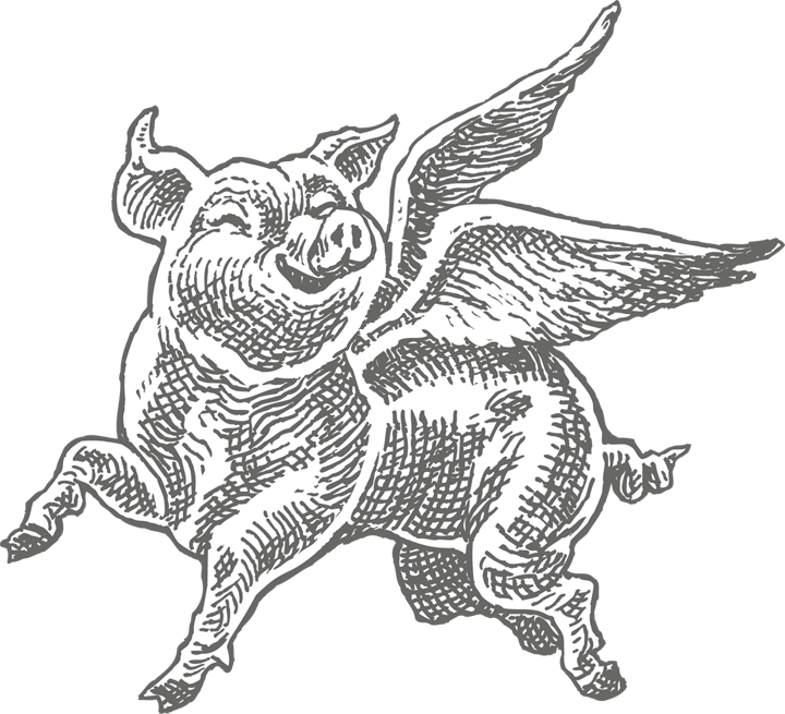 flying pig image
