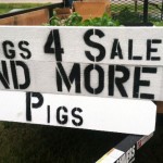 Pigs for sale sign