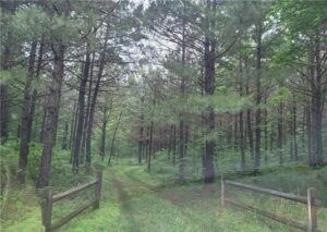 Gorgeous six plus-acre lot located between Smithfield and Surry photo