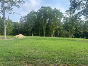 Cleared Lot for Sale, Claremont VA photo