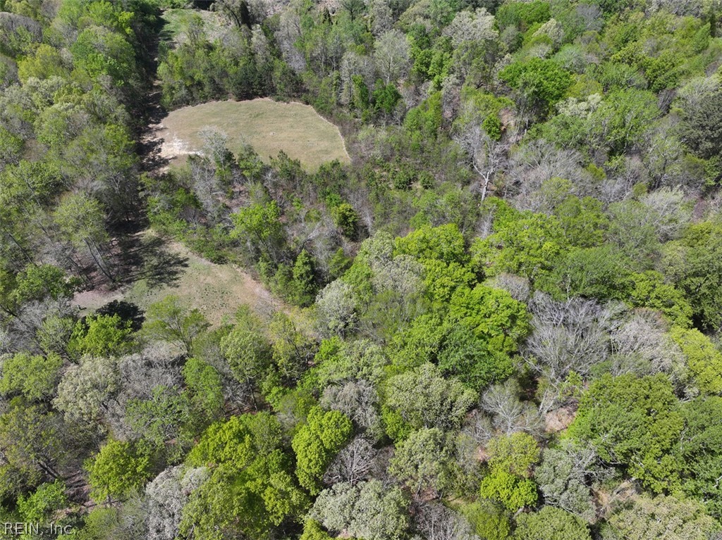 Aerial photo of wooded lot